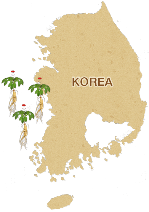 韓国の地図